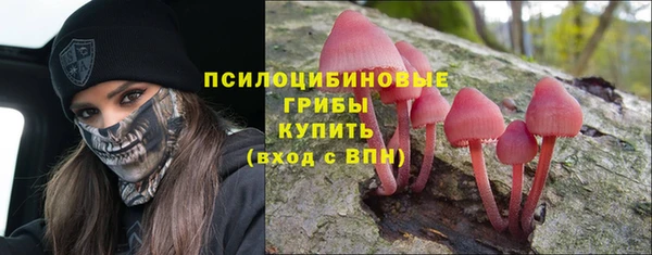 прущий лед Аркадак
